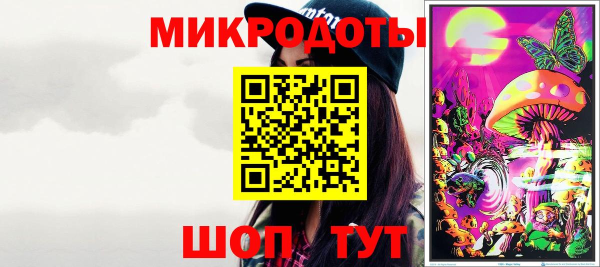 Галлюциногенные грибы Psilocybe Югорск